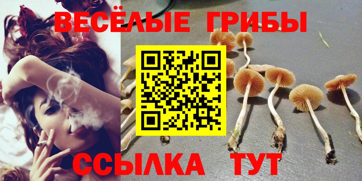 Галлюциногенные грибы ЛСД Сегежа
