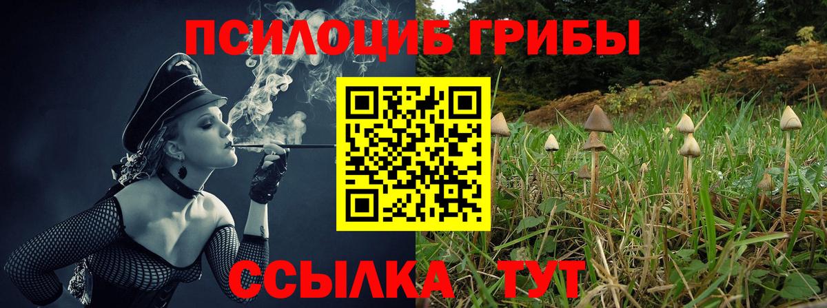 Псилоцибиновые грибы Magic Shrooms  Вход с VPN  Псилоцибиновые грибы Psilocybe  Сегежа 